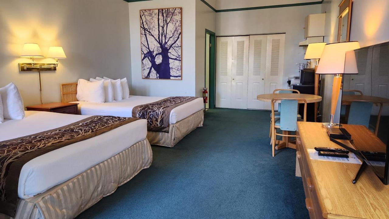 The Cedars Inn Hotel & Convention Centre 깁슨스 외부 사진