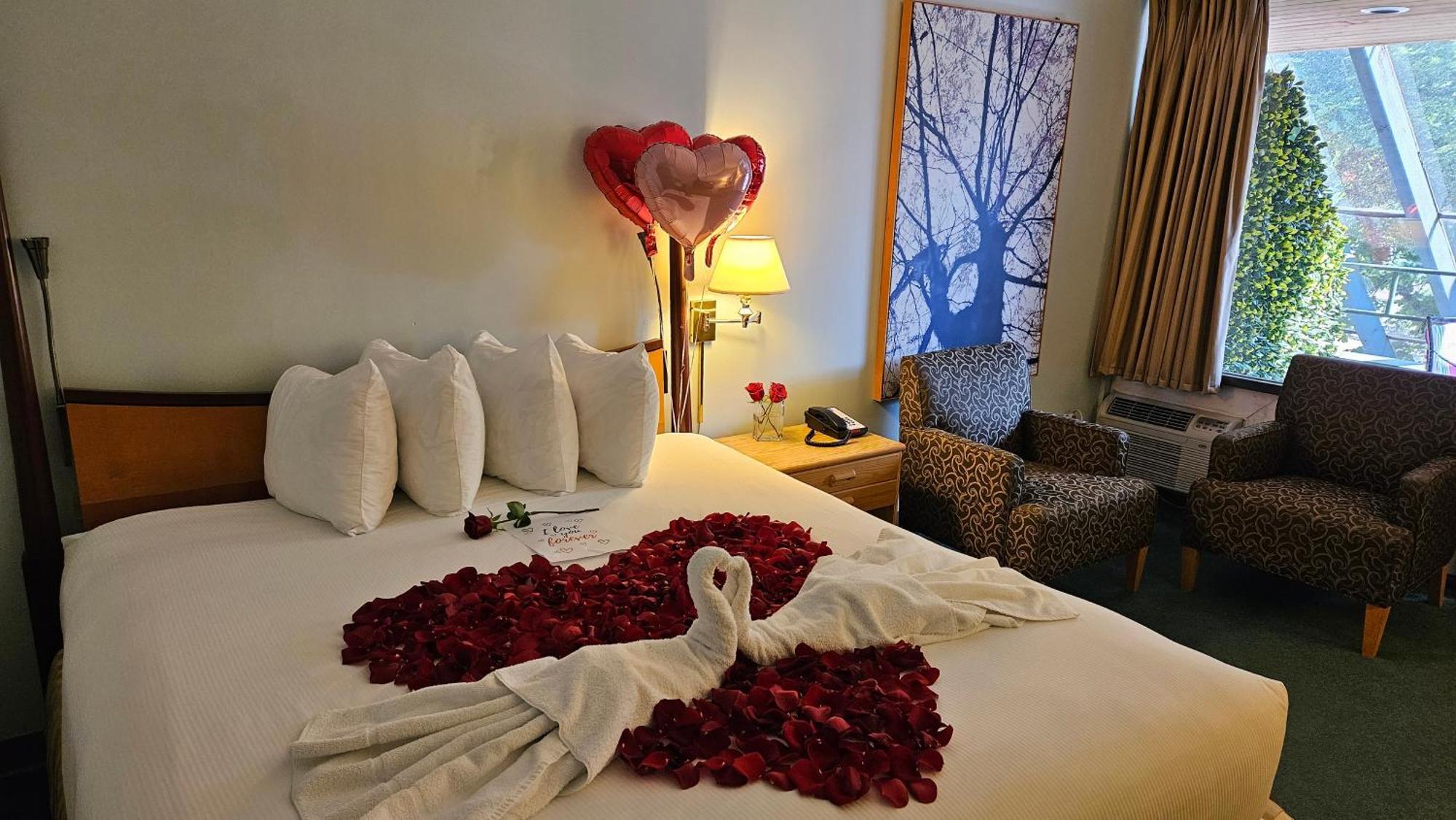 The Cedars Inn Hotel & Convention Centre 깁슨스 외부 사진